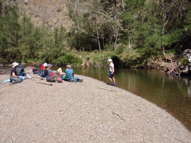 lunchstoponpebblebeachinthegorgewherebrushedtailrockwallabieswereseen.jpg