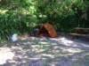 campsiteatpaddlebay_small.jpg