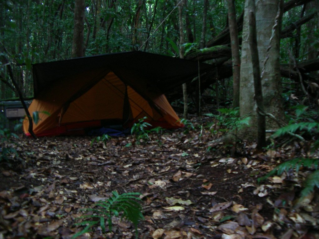 wetcampsiteinrainforest.jpg